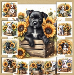 Sunflower Pups 10