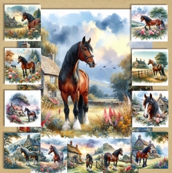 Country Horse