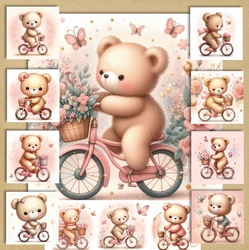 Bike Bear