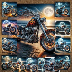 Moonlight Beach Bike