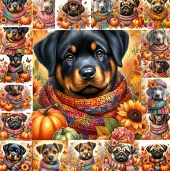 Pumpkin Fall Dogs 11