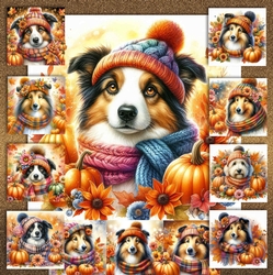Pumpkin Fall Collie Collection 1