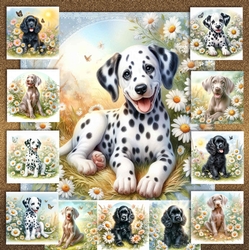 Daisy Meadow Pups 2