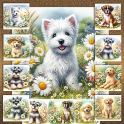 Daisy Meadow Pups 7