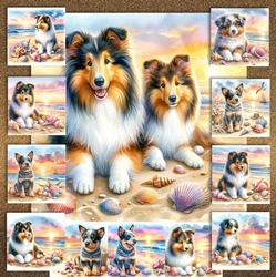 Sunrise Beach Pups 12