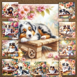 Blooming Garden Pups 11