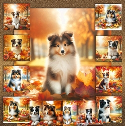 Fall Park Dogs 3