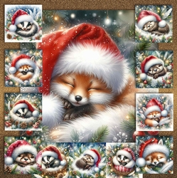 Christmas Naptime