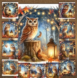 Forest Owls