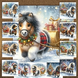 Shetland Sleigh