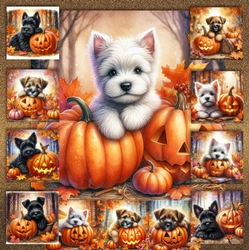 Pumpkin Forest Dogs 9