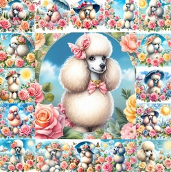 Summer Poodle
