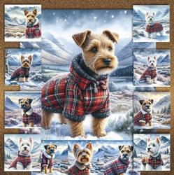 Highland Winter Walk Dogs 3
