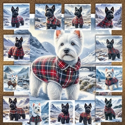 Highland Winter Walk Dogs 5