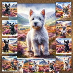 Highland Walk Pups 9