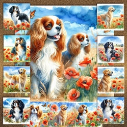 Poppy Field Dogs 7