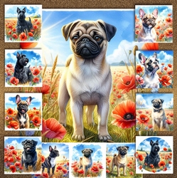 Poppy Field Dogs 10