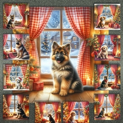 Festive Tails and Cozy Views 16
