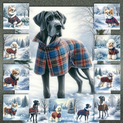 Winter Country Park Dogs 2