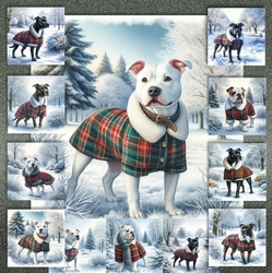 Winter Country Park Dogs 6
