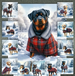 Winter Country Park Dogs 8