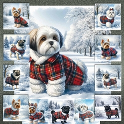 Winter Country Park Dogs 13