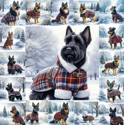 Winter Country Park  Dogs 17