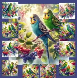 Budgerigar 2