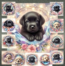 Puppy Dreams and Crystal Blooms 12