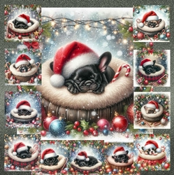 O Silent Night Pups 11