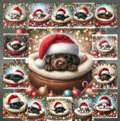 O Silent Night Pups 13