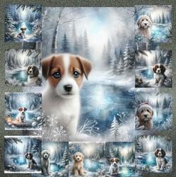 Winter Pond Pups 5