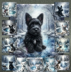 Winter Pond Pups 11