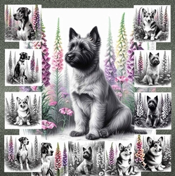 Petals and Paws  2
