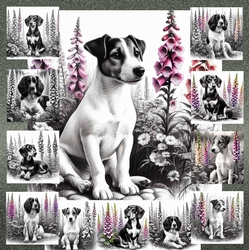 Petals and Paws 6