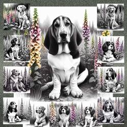Petals and Paws 9