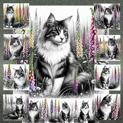 Fox Glove Cats 1