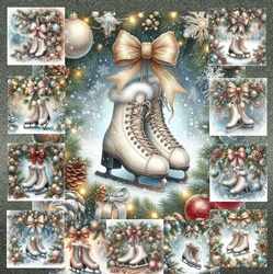 Winter Skates