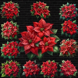 Beautiful Poinsettia