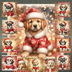 Jolly Little Helper 9