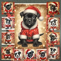 Jolly Little Helper 11