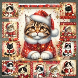 Santa Claws 1