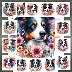Floral Collie