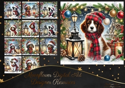Tartan Tails In The Snow 5
