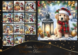 Tartan Tails In The Snow 9