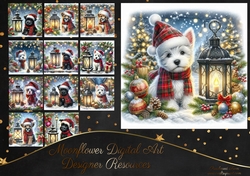 Tartan Tails In The Snow 11