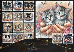 Handful Of Kittens
