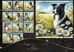 Daisy Dream Dogs 4