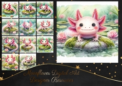 Axolotl