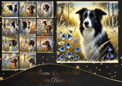 Birchwood Pups 5